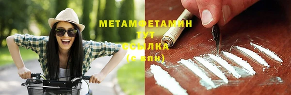 твердый Ладушкин