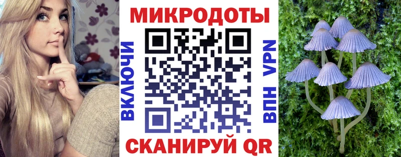 Псилоцибиновые грибы Psilocybe Среднеколымск